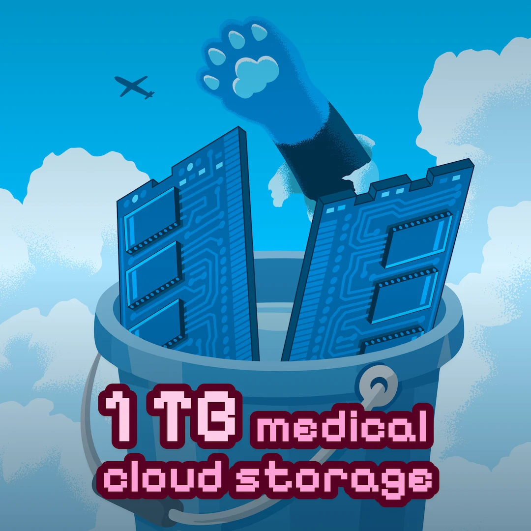 All plans include a TERABYTE of super fast and safe cloud storage for all your medical files including radiographs, CT scans, documents and even videos. DICOMs are fully supported of course. Power users can purchase additional storage in 1 TB increments.